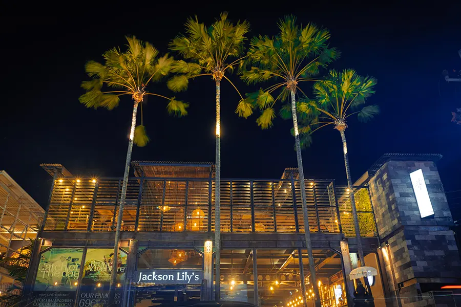 Jackson Lily's interior - palm trees