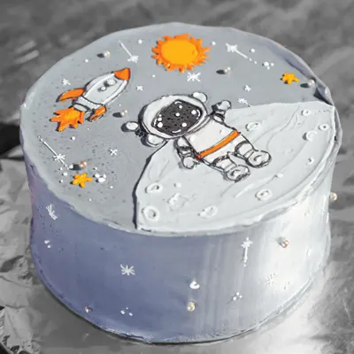 Fly Me to the Moon - Cake Catalog by Jackson Lily's