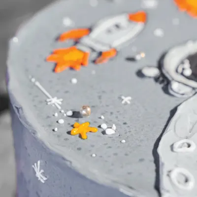 Fly Me to the Moon - Cake Catalog by Jackson Lily's