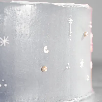 Fly Me to the Moon - Cake Catalog by Jackson Lily's